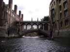 punting - 03.jpg (129kb)