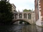 punting - 07.jpg (131kb)