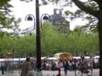 amsterdam-cat - 38.jpg (331kb)