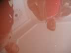 PICT0057.jpg (125kb)