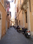 P1010055.JPG