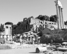 P1010187.JPG