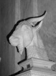 P1010203.JPG
