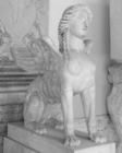P1010217.JPG