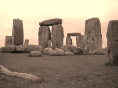 P1010120.JPG