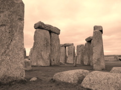 P1010117.JPG