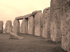 P1010115.JPG